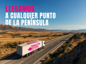 Mudanzas Mallorca península